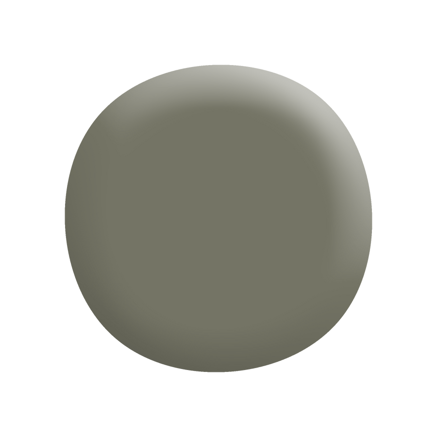Colorbond® Mangrove®-Paint by Wallmaster Paints