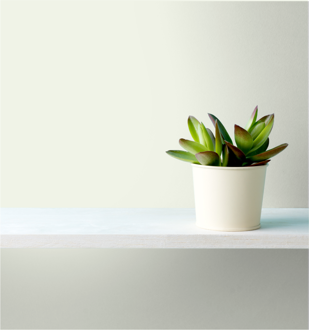 Corrine Wm17Cc 062-1-Paint by Wallmaster Paints