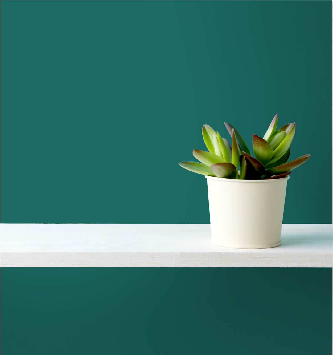 Emeraude Wm17Cc 049-6-Paint by Wallmaster Paints