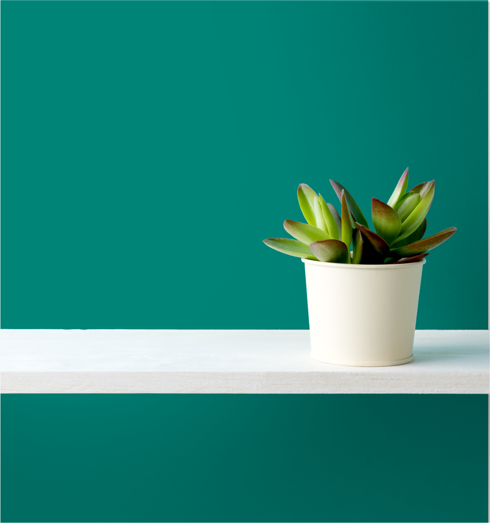 Jolt Of Spring Wm17Cc 048-6-Paint by Wallmaster Paints