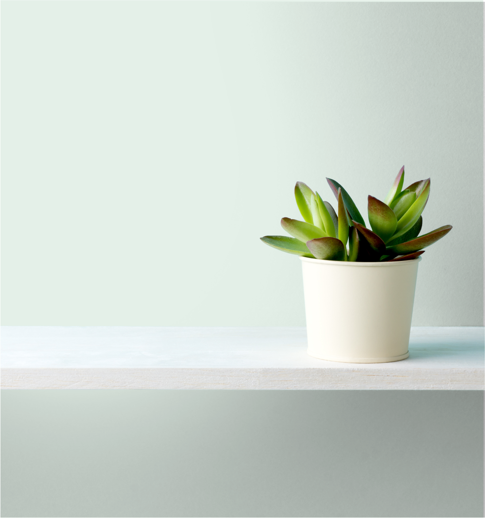 Soft Glow Wm17Cc 052-1-Paint by Wallmaster Paints