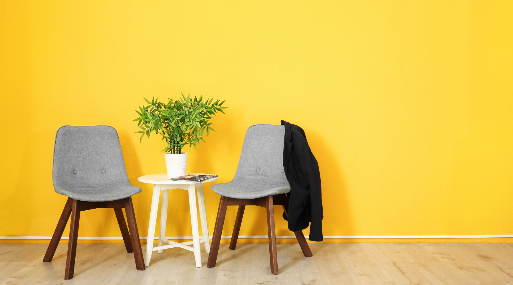 Wallmaster Samples Superwash Interior Paint - Very low VOC-Asthma and Allergy Friendly ...