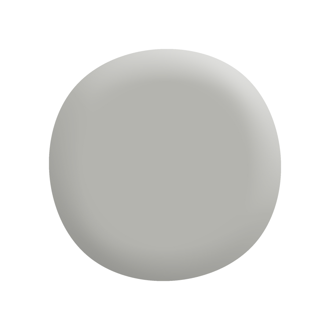 Colorbond® Shale Grey®-Paint by Wallmaster Paints