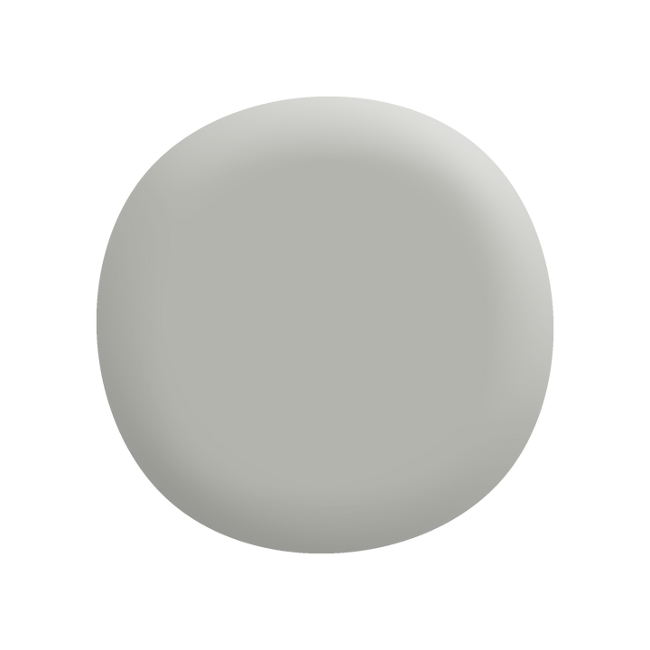 Colorbond® Shale Grey®-Paint by Wallmaster Paints