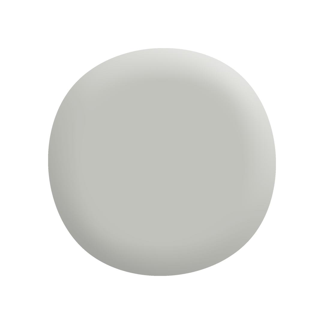 Colorbond® Shale Grey Half®-Paint by Wallmaster Paints