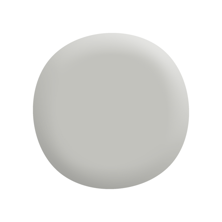 Colorbond® Shale Grey Half®-Paint by Wallmaster Paints