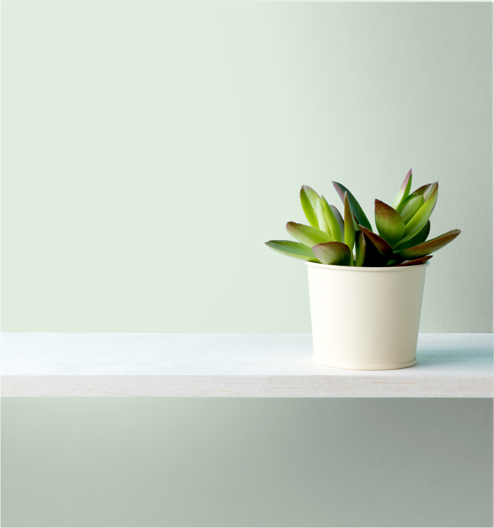 Country Spring Wm17Cc 061-1-Paint by Wallmaster Paints