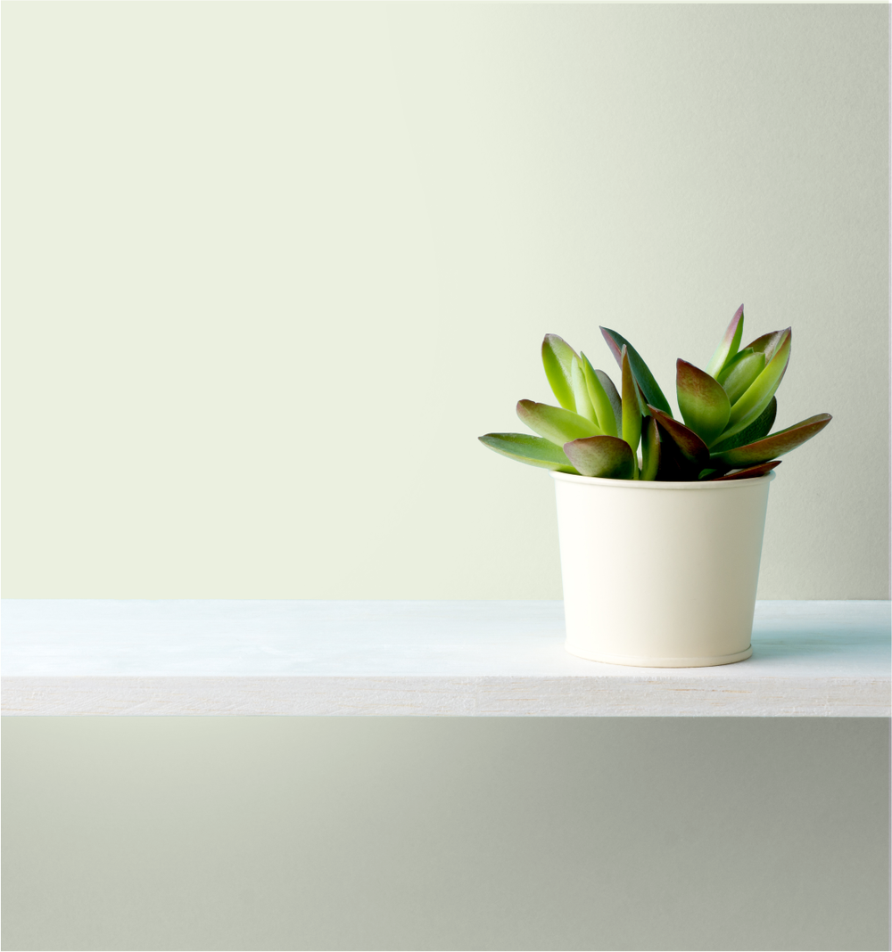 Ellora Wm17Cc 066-1-Paint by Wallmaster Paints