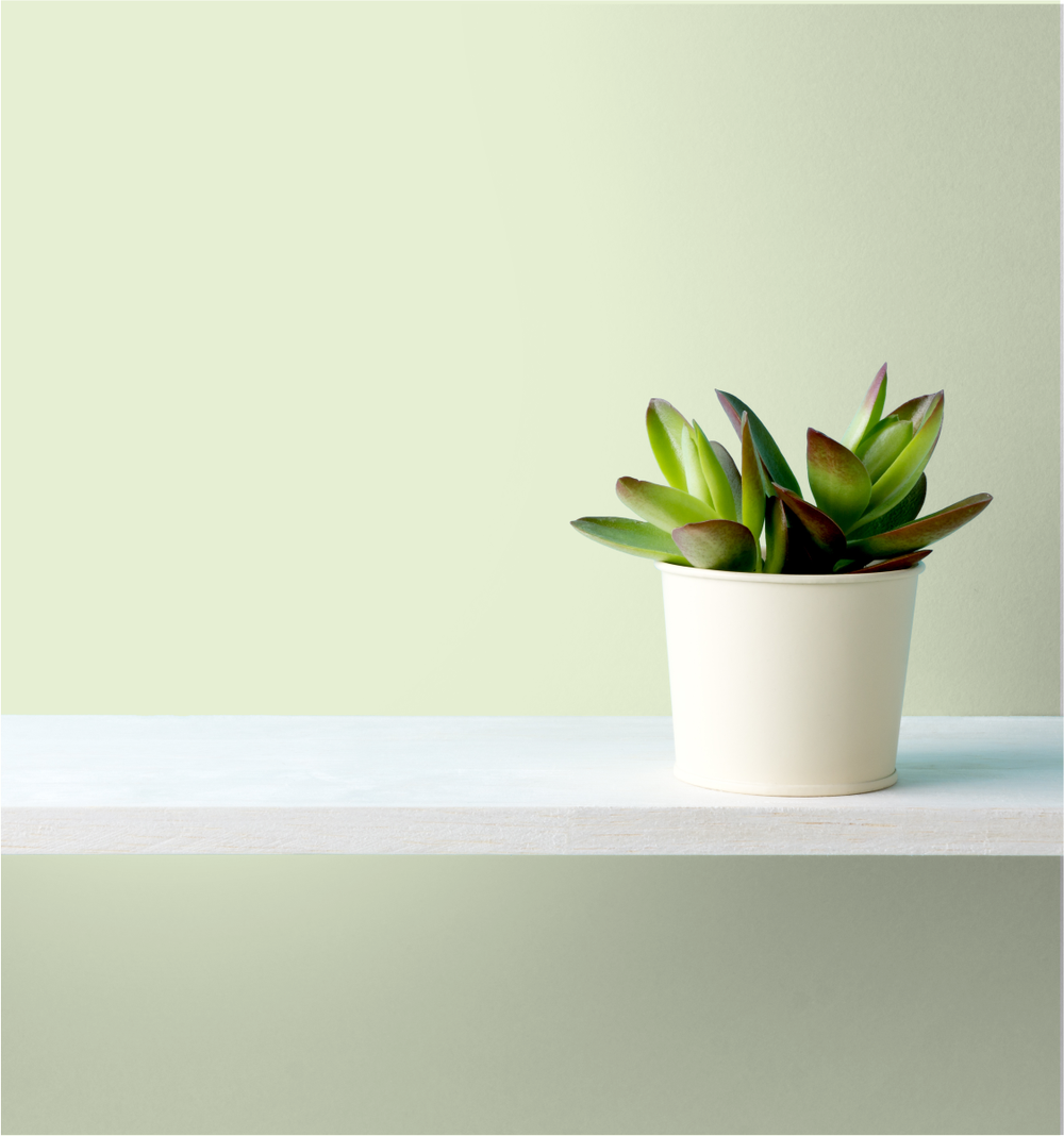 Garden Of Light Wm17Cc 068-2-Paint by Wallmaster Paints