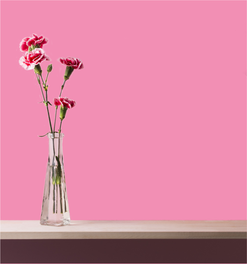 Sweet Ambrosia Wm17Cc 119-5-Paint by Wallmaster Paints