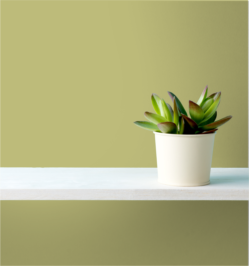 Vintage Avocado Wm17Cc 079-5-Paint by Wallmaster Paints