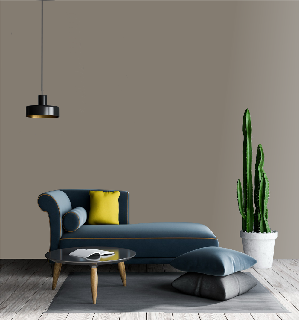 Washed Clay Wm17Cc 158-5-Paint by Wallmaster Paints