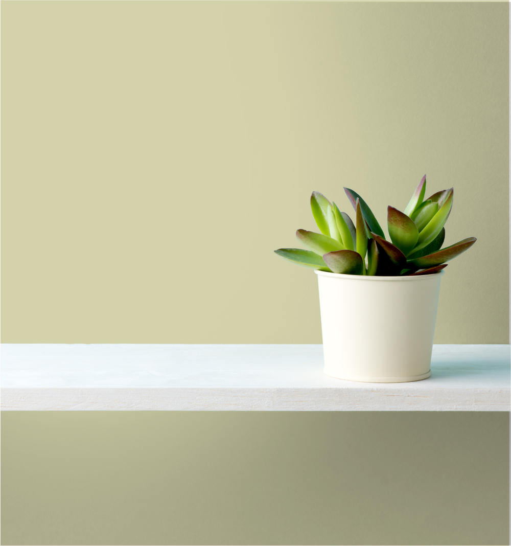 Western Sage Wm17Cc 078-3-Paint by Wallmaster Paints